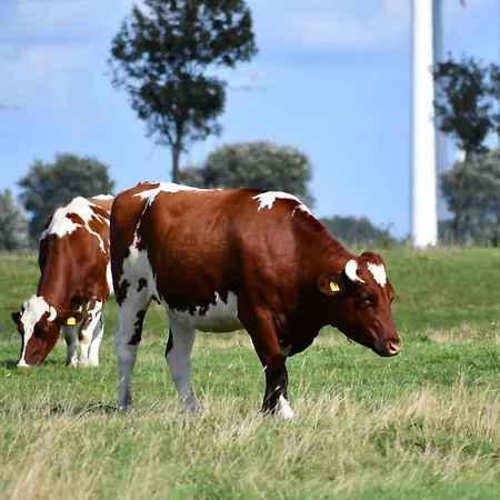 Borcherding Apartmán